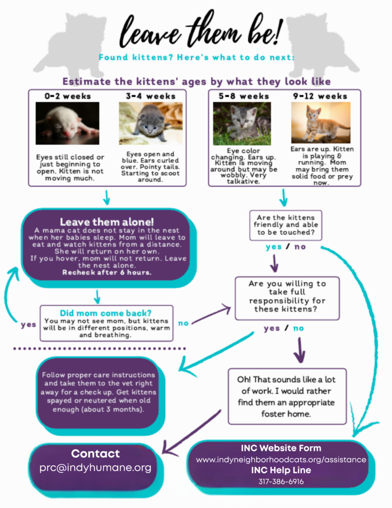 inc found kittens graphic