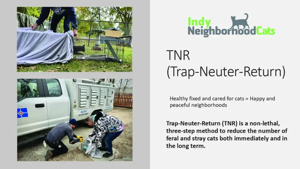 inc history of tnr in indianapolis 1