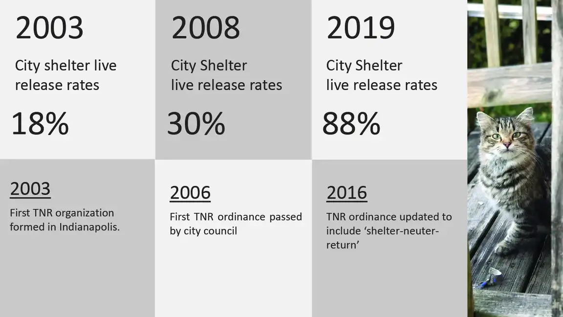 History of TNR in Indianapolis inc history of tnr in indianapolis 4