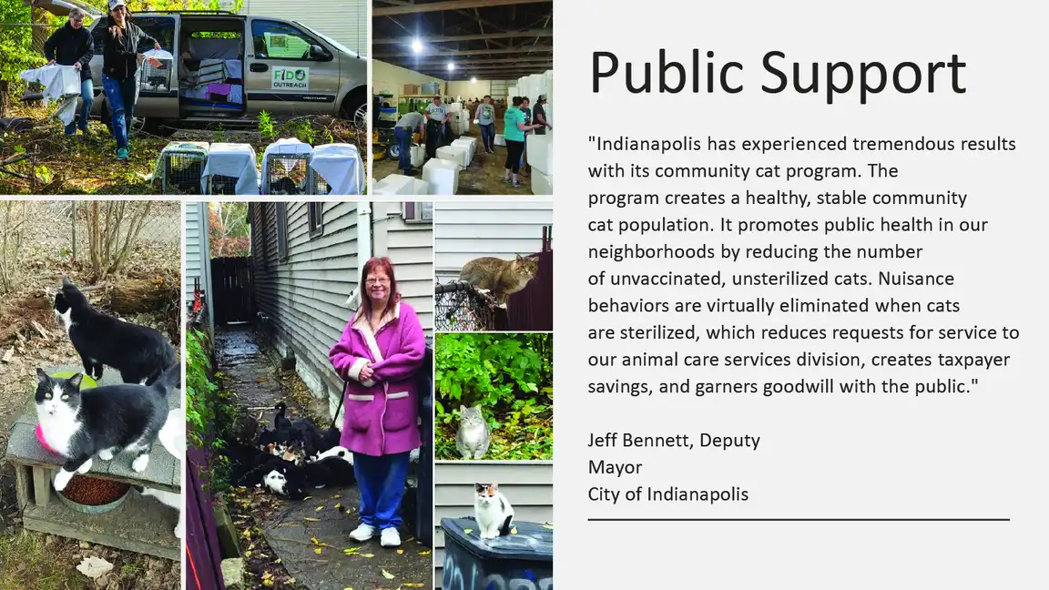 History of TNR in Indianapolis inc history of tnr in indianapolis 5