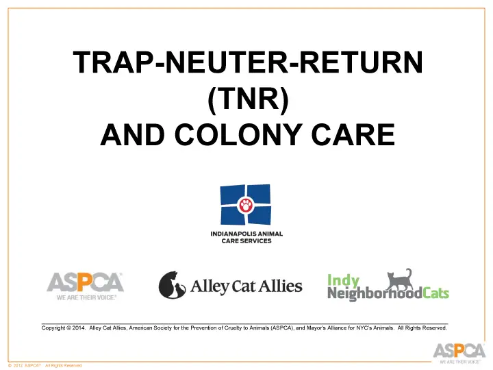 inc tnr and colony care 1