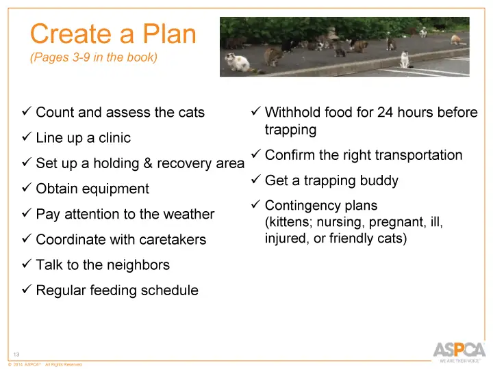 inc tnr and colony care 13