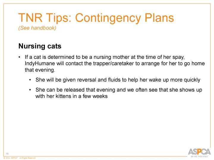 inc tnr and colony care 15