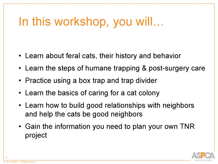 inc tnr and colony care 2