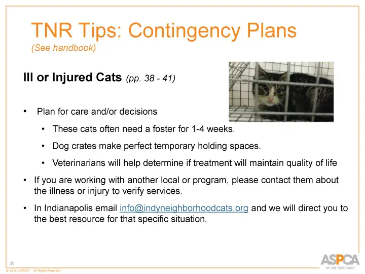 inc tnr and colony care 20