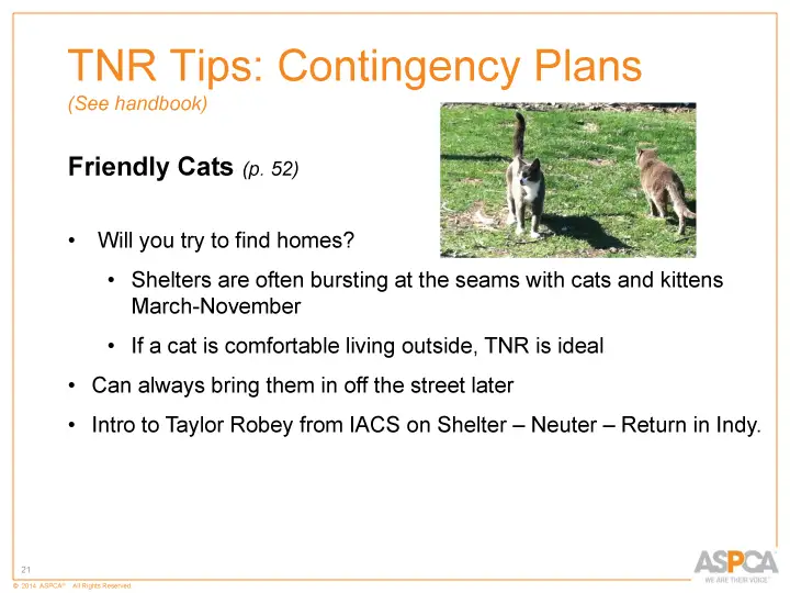 inc tnr and colony care 21