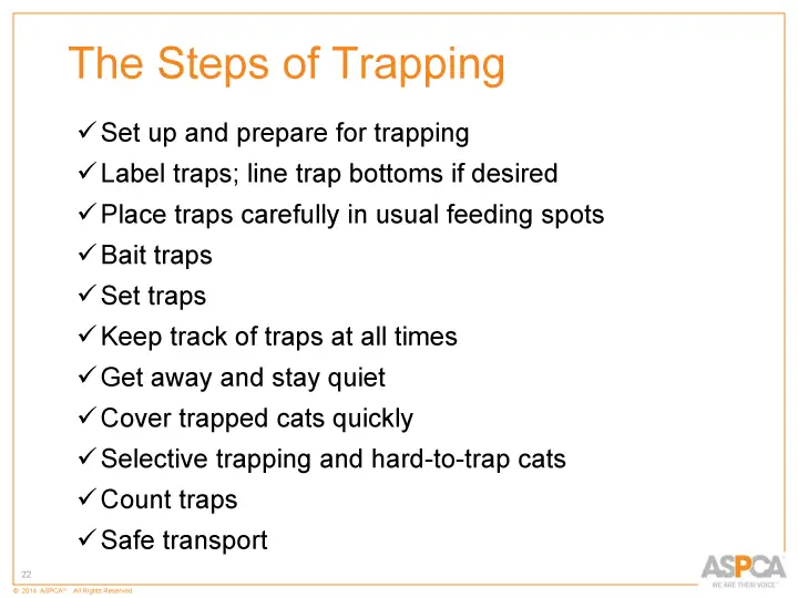 inc tnr and colony care 22