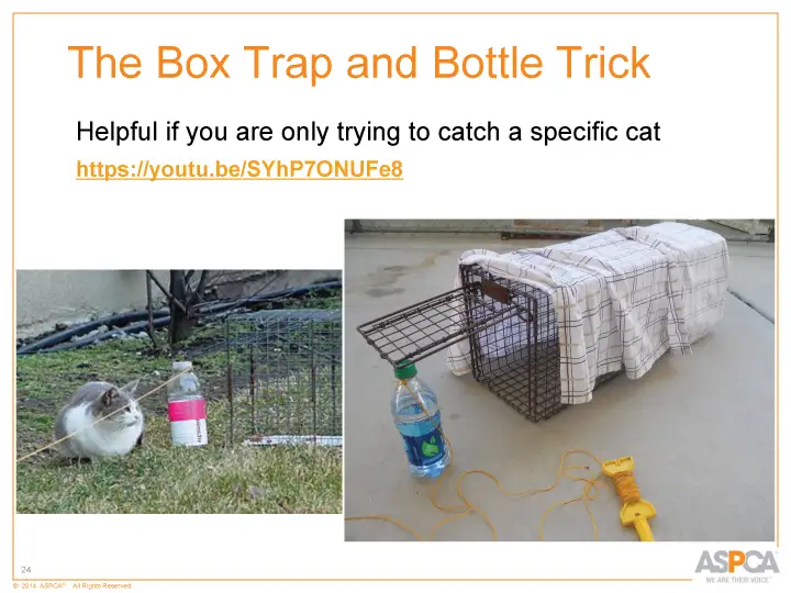 inc tnr and colony care 24