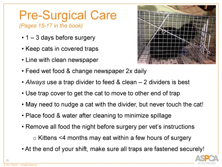 inc tnr and colony care 25