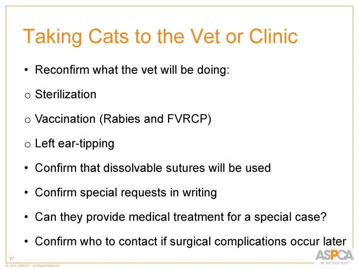 inc tnr and colony care 27