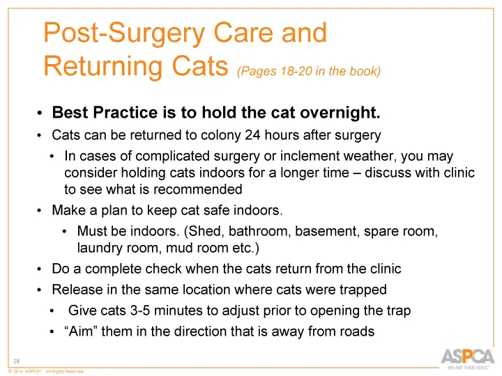 inc tnr and colony care 28