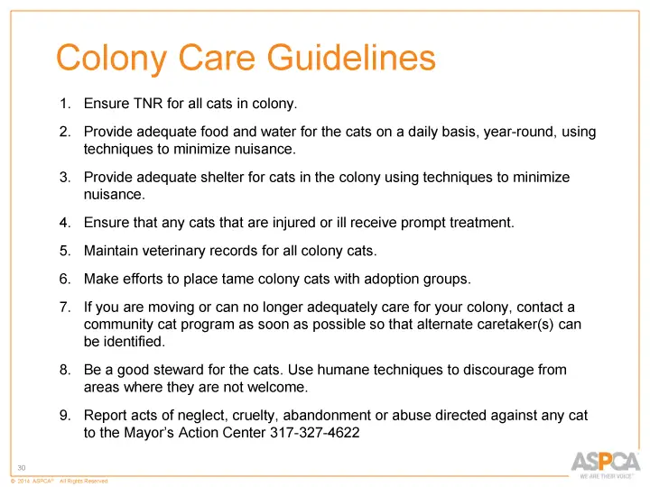 inc tnr and colony care 30