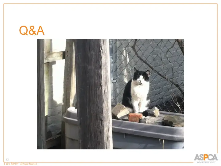 inc tnr and colony care 32