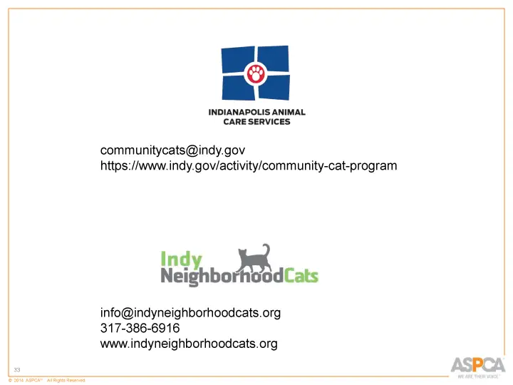inc tnr and colony care 33