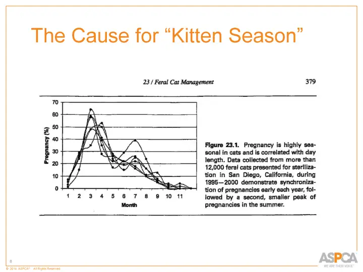 inc tnr and colony care 8