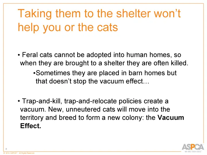 inc tnr and colony care 9