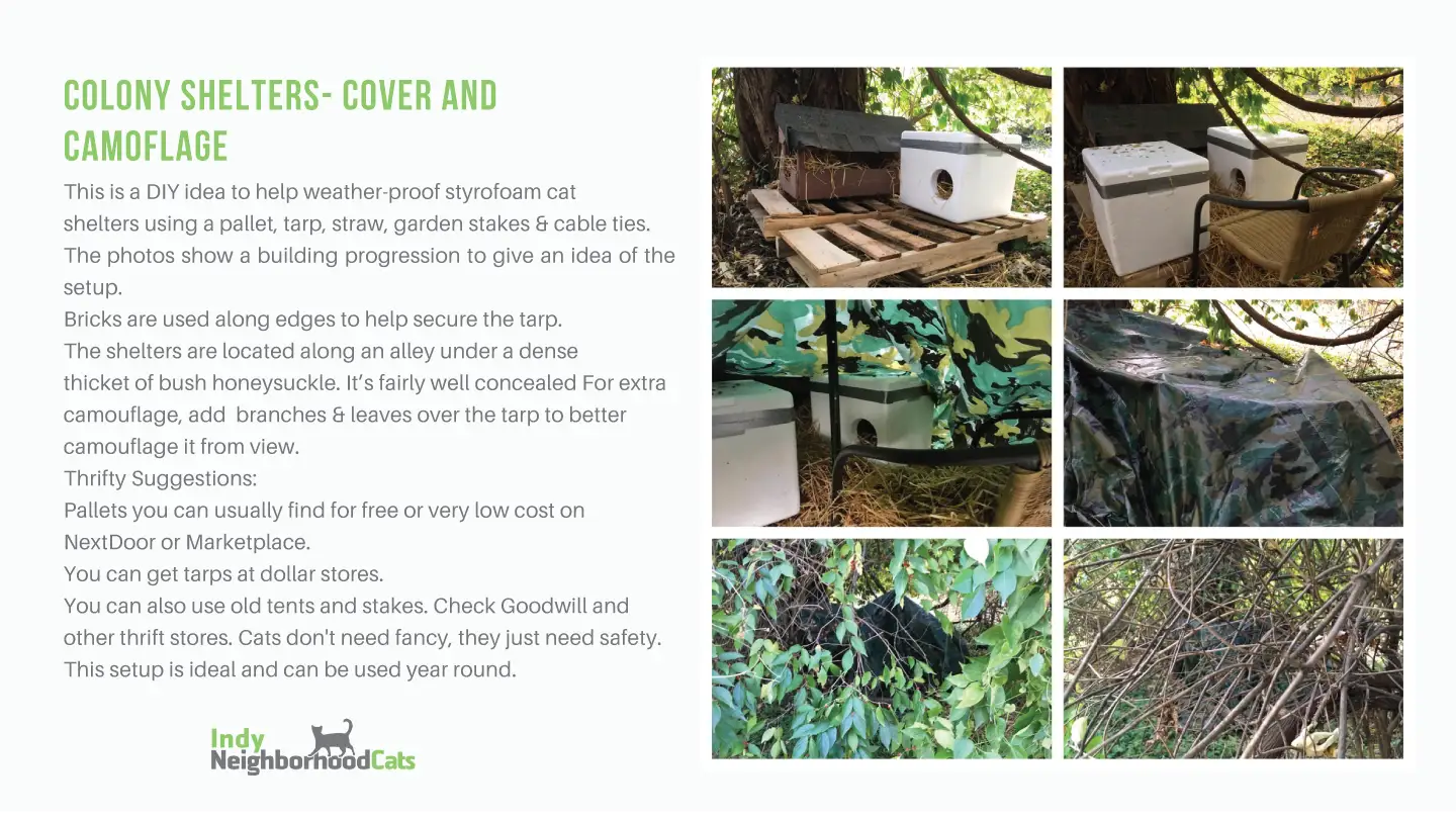 inc winter survival guide 2