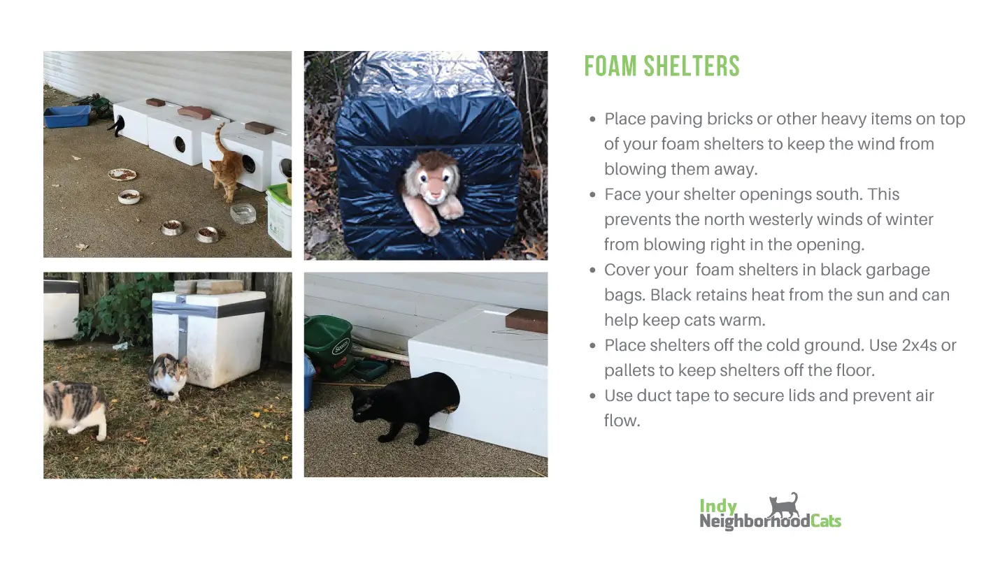 inc winter survival guide 3