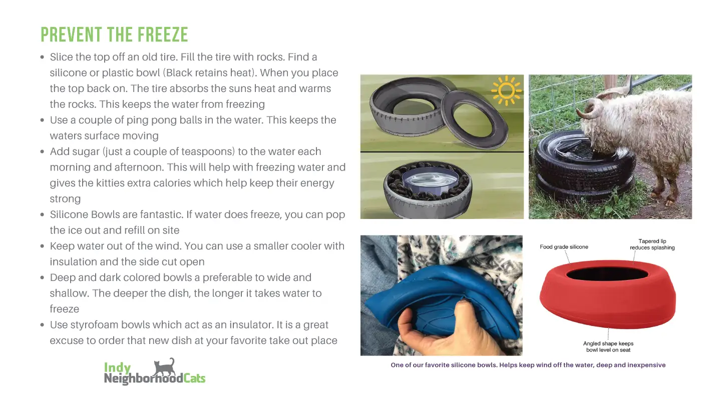 inc winter survival guide 6