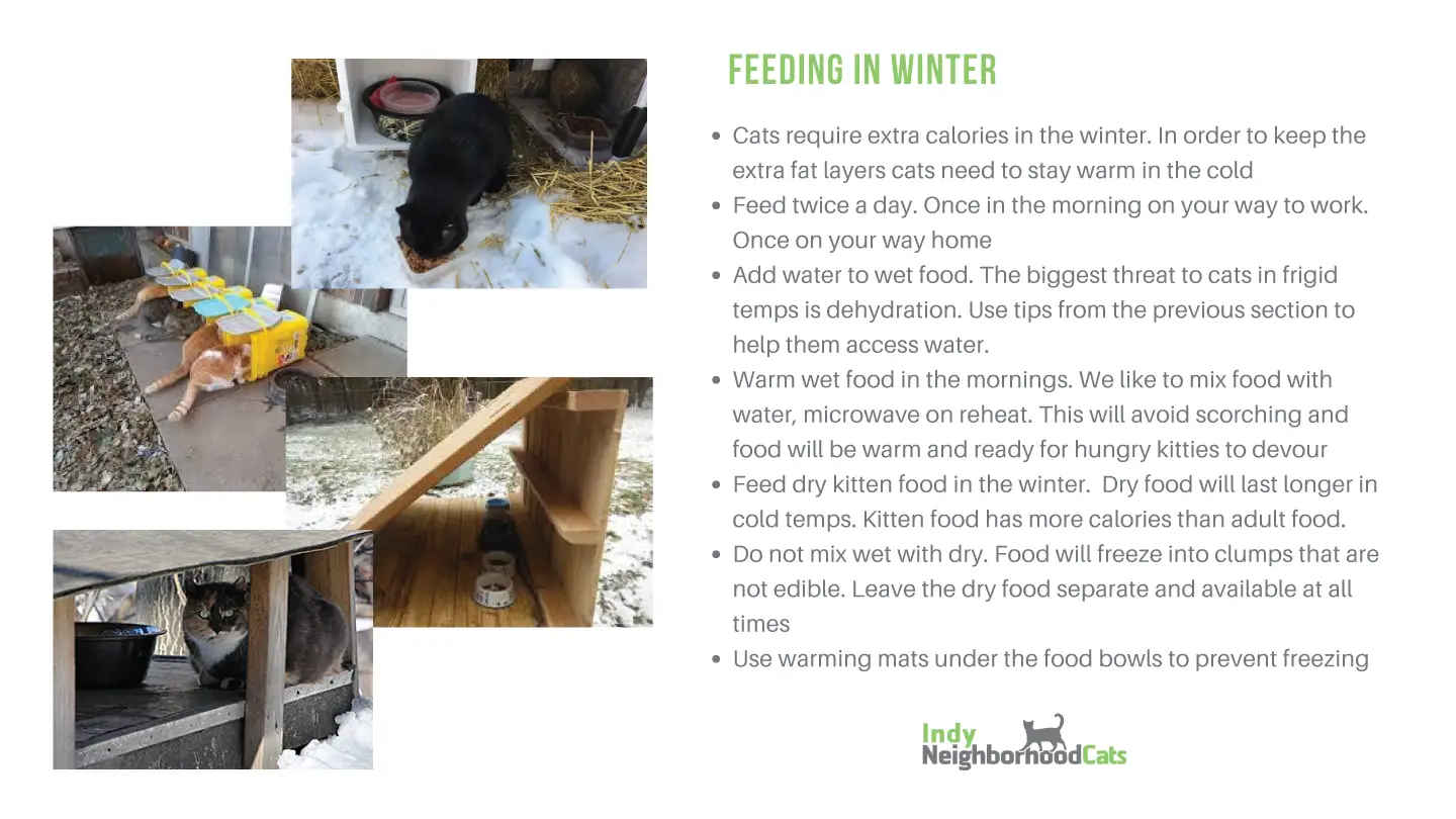 inc winter survival guide 7