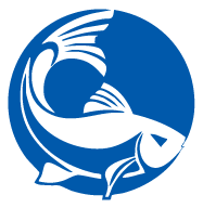 indy neighborhood cats, aquatic arts logo alt.