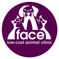 indy neighborhood cats, face logo alt.