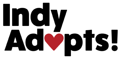 indy adopts logo