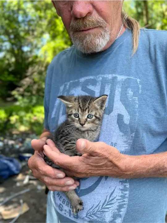inc community cat v16 ©rob day