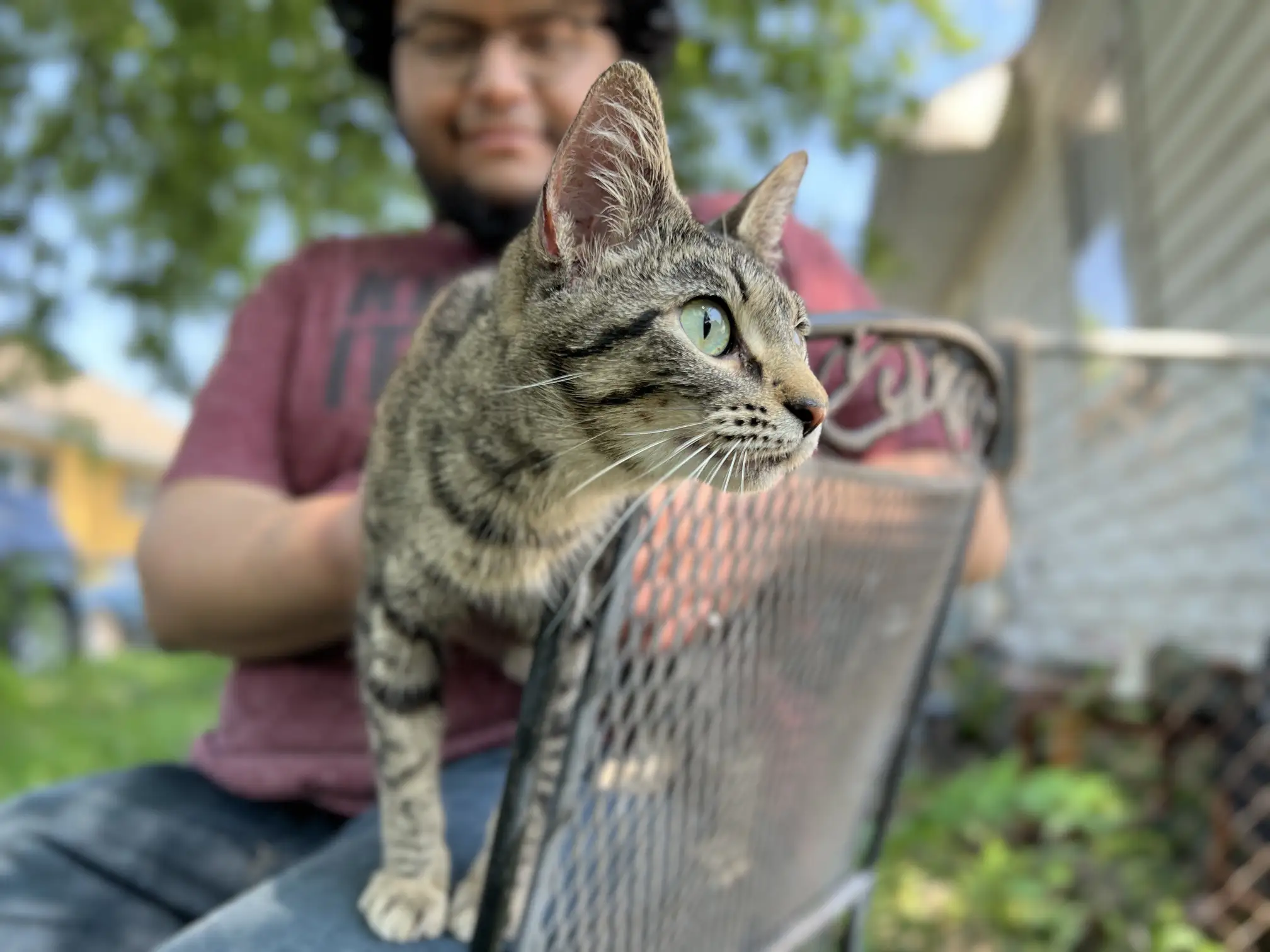 inc human with cat1 ©rob day