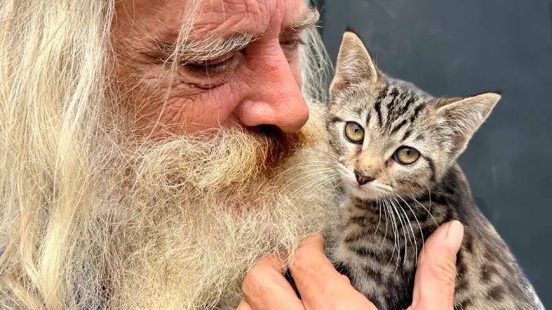 inc humans with cats12 ©rob day