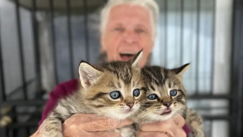 inc humans with cats4 ©rob day